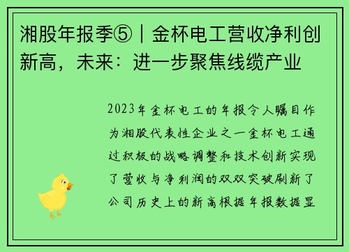 湘股年报季⑤｜金杯电工营收净利创新高，未来：进一步聚焦线缆产业